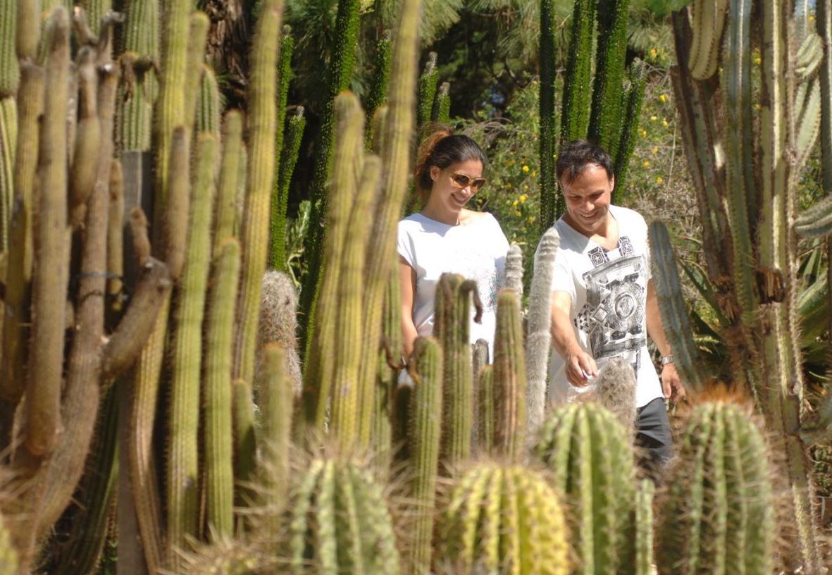 gardens cacti